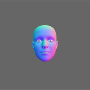 Three.js WebGL技术演示 - 面部变形目标与摄像头实时驱动